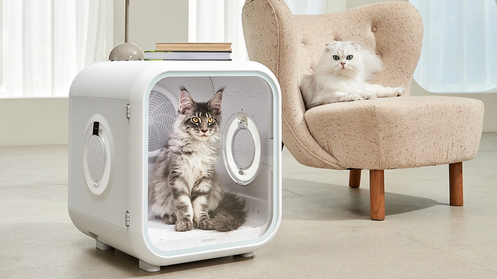 1753156325129027.jpg 宠物烘干箱4.jpg