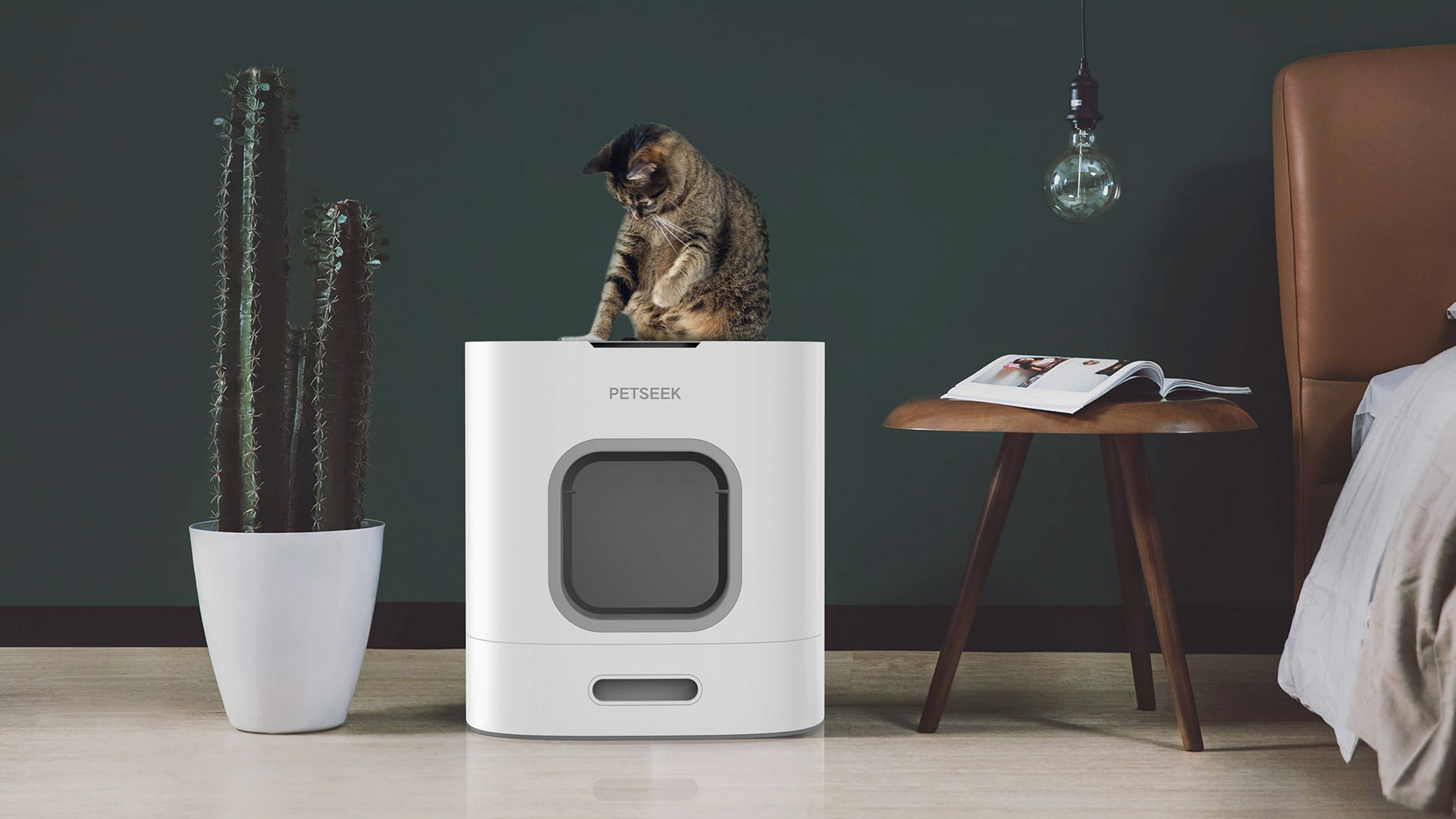 1753156342422700.jpg 宠物猫砂盆设计.jpg