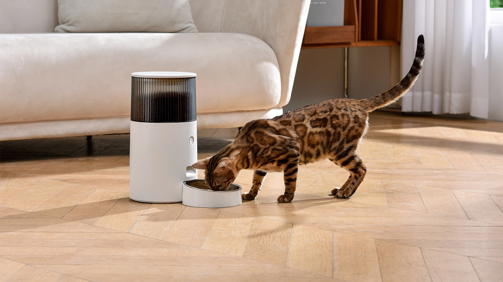 1753156351126620.jpg 4.jpg